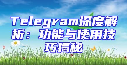 Telegram深度解析：功能与使用技巧揭秘