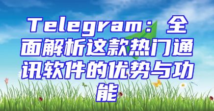 Telegram：全面解析这款热门通讯软件的优势与功能