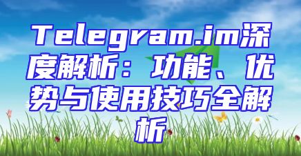 Telegram.im深度解析：功能、优势与使用技巧全解析