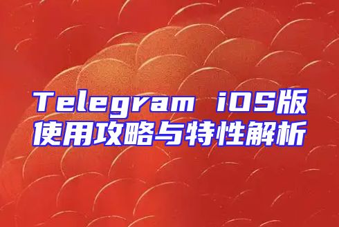 Telegram iOS版使用攻略与特性解析