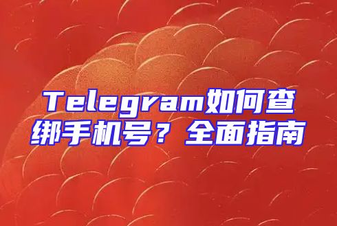 Telegram如何查绑手机号？全面指南