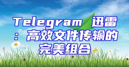 Telegram 迅雷：高效文件传输的完美组合