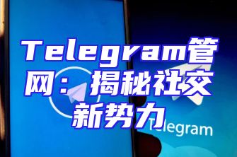 Telegram管网：揭秘社交新势力
