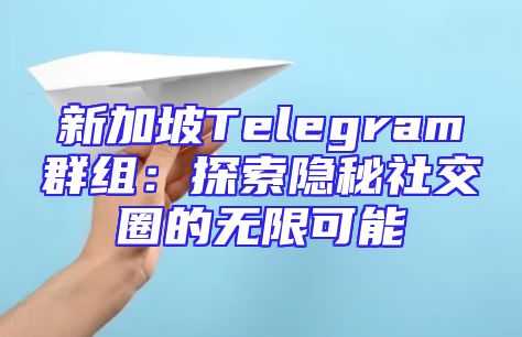 新加坡Telegram群组：探索隐秘社交圈的无限可能