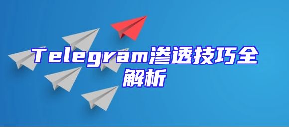 Telegram渗透技巧全解析