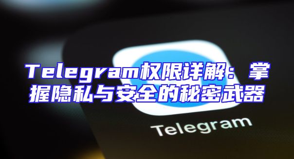 Telegram权限详解：掌握隐私与安全的秘密武器
