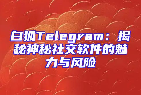 白狐Telegram：揭秘神秘社交软件的魅力与风险