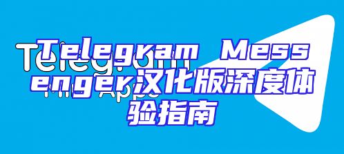 Telegram Messenger汉化版深度体验指南