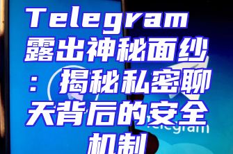 Telegram 露出神秘面纱：揭秘私密聊天背后的安全机制