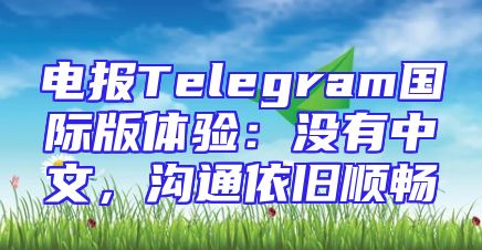 电报Telegram国际版体验：没有中文，沟通依旧顺畅