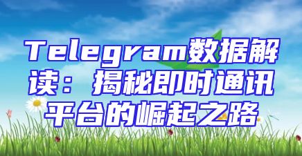 Telegram数据解读：揭秘即时通讯平台的崛起之路