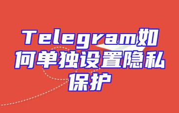 Telegram如何单独设置隐私保护