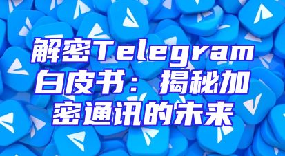 解密Telegram白皮书：揭秘加密通讯的未来