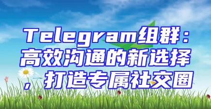 Telegram组群：高效沟通的新选择，打造专属社交圈