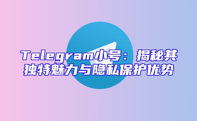 Telegram小号：揭秘其独特魅力与隐私保护优势