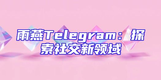 雨燕Telegram：探索社交新领域