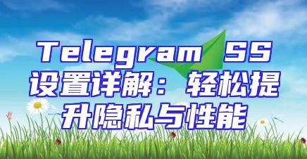Telegram SS设置详解：轻松提升隐私与性能