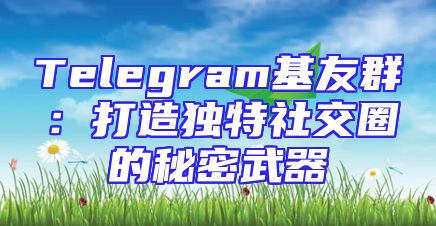 Telegram基友群：打造独特社交圈的秘密武器