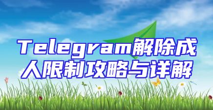 Telegram解除成人限制攻略与详解