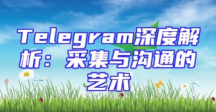 Telegram深度解析：采集与沟通的艺术