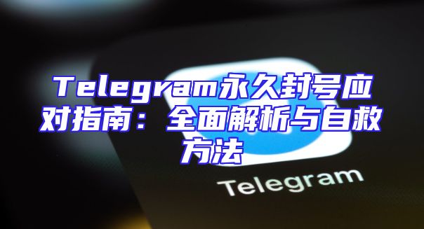 Telegram永久封号应对指南：全面解析与自救方法