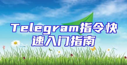 Telegram指令快速入门指南