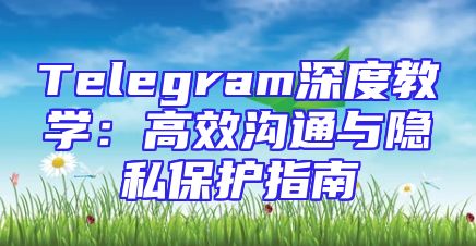 Telegram深度教学：高效沟通与隐私保护指南