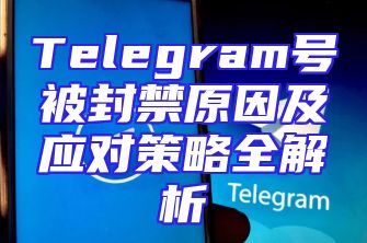 Telegram号被封禁原因及应对策略全解析