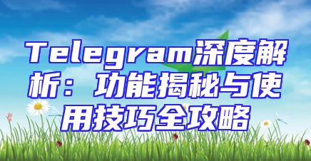 Telegram深度解析：功能揭秘与使用技巧全攻略