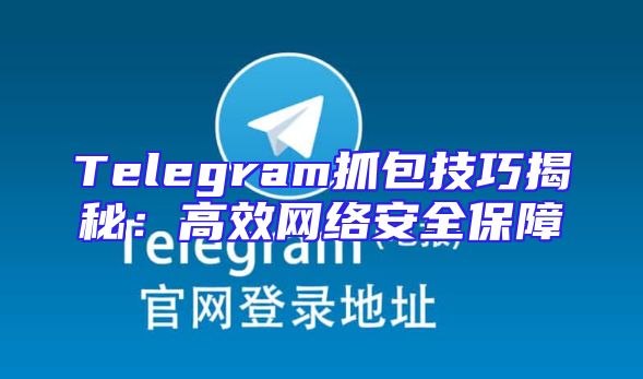 Telegram抓包技巧揭秘：高效网络安全保障