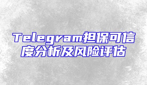 Telegram担保可信度分析及风险评估
