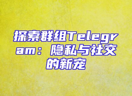 探索群组Telegram：隐私与社交的新宠
