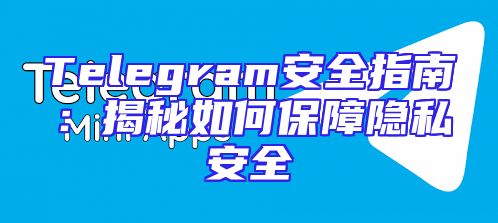 Telegram安全指南：揭秘如何保障隐私安全