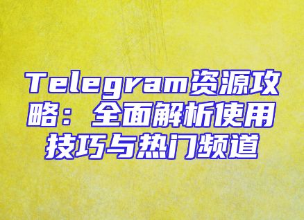 Telegram资源攻略：全面解析使用技巧与热门频道