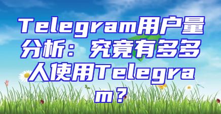 Telegram用户量分析：究竟有多多人使用Telegram？