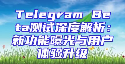 Telegram Beta测试深度解析：新功能曝光与用户体验升级