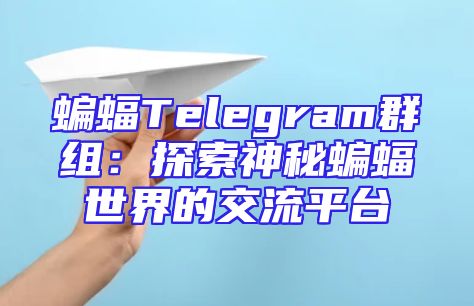 蝙蝠Telegram群组：探索神秘蝙蝠世界的交流平台