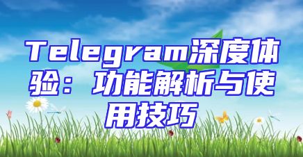 Telegram深度体验：功能解析与使用技巧