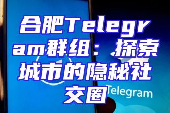 合肥Telegram群组：探索城市的隐秘社交圈