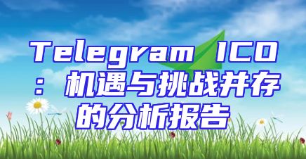 Telegram ICO：机遇与挑战并存的分析报告