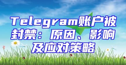 Telegram账户被封禁：原因、影响及应对策略