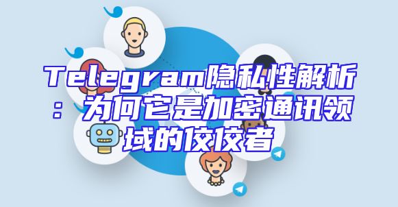 Telegram隐私性解析：为何它是加密通讯领域的佼佼者