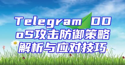 Telegram DDoS攻击防御策略解析与应对技巧