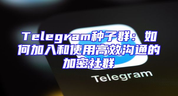 Telegram种子群：如何加入和使用高效沟通的加密社群