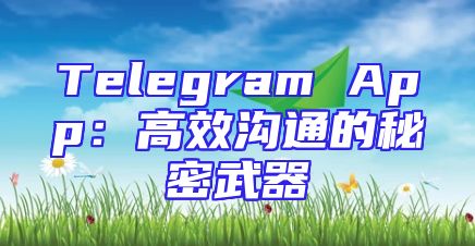 Telegram App：高效沟通的秘密武器