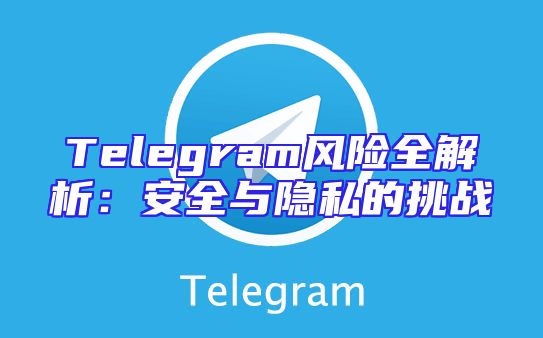 Telegram风险全解析：安全与隐私的挑战
