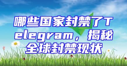 哪些国家封禁了Telegram，揭秘全球封禁现状