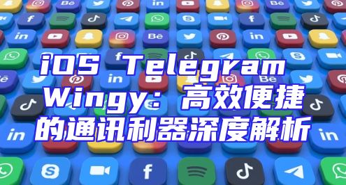 iOS Telegram Wingy：高效便捷的通讯利器深度解析