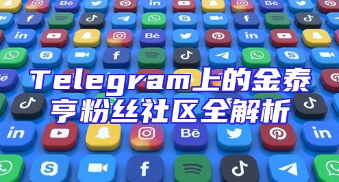 Telegram上的金泰亨粉丝社区全解析