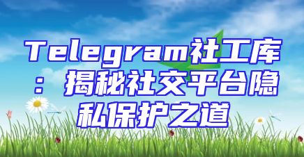 Telegram社工库：揭秘社交平台隐私保护之道
